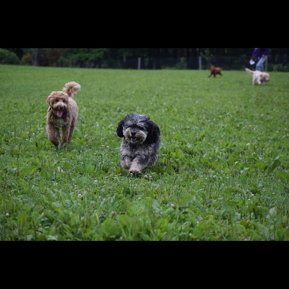 14K Yellow Gold Diamond Band and Chain Dangle Ring - Picture 5 of 7